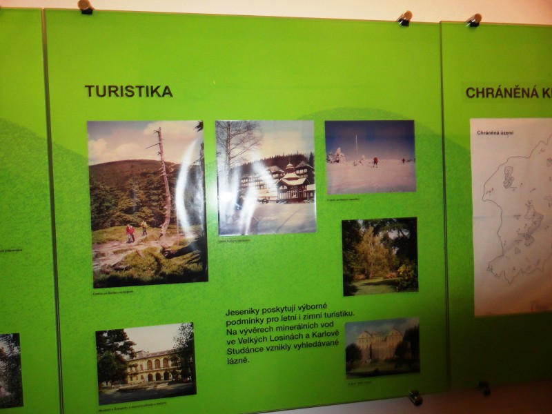 DS2012 150.jpg